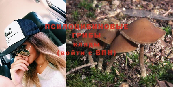 ECSTASY Медногорск