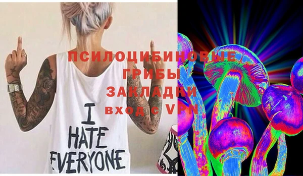 дмт Медвежьегорск