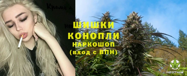 ECSTASY Медногорск