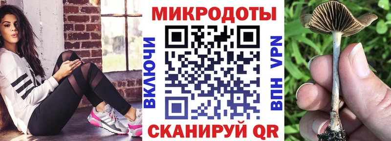 Купить  Славск  Галлюциногенные грибы GOLDEN TEACHER 