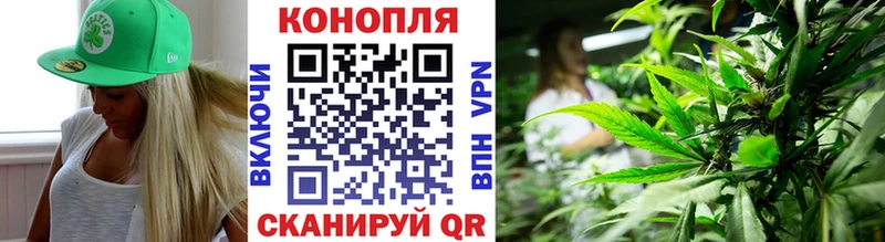 Шишки марихуана сатива Славск