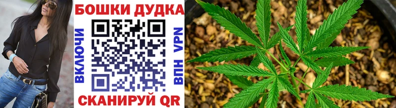 Каннабис OG Kush  Купить закладки  Славск 